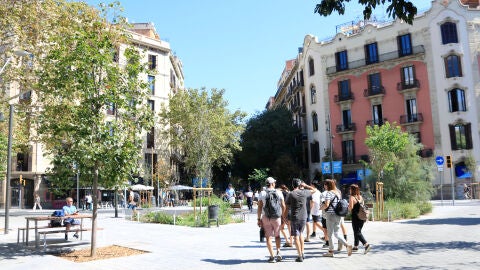 consell de cent