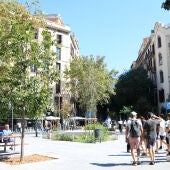 consell de cent