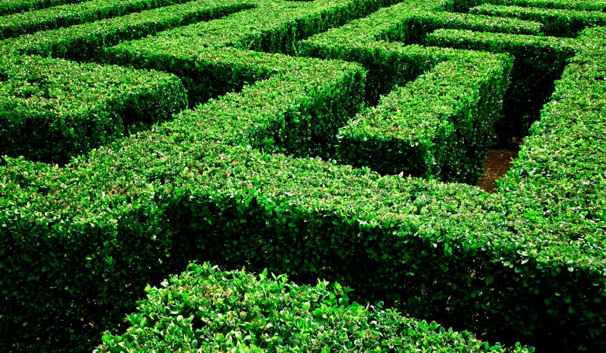 Más de Uno Álava con Susana Marqués 08/09/2023 Más de Uno Álava con Susana Marqués 08/09/2023