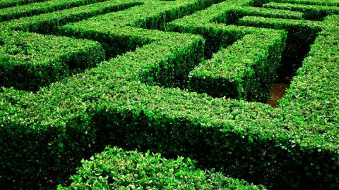 Llaberinto vegetal