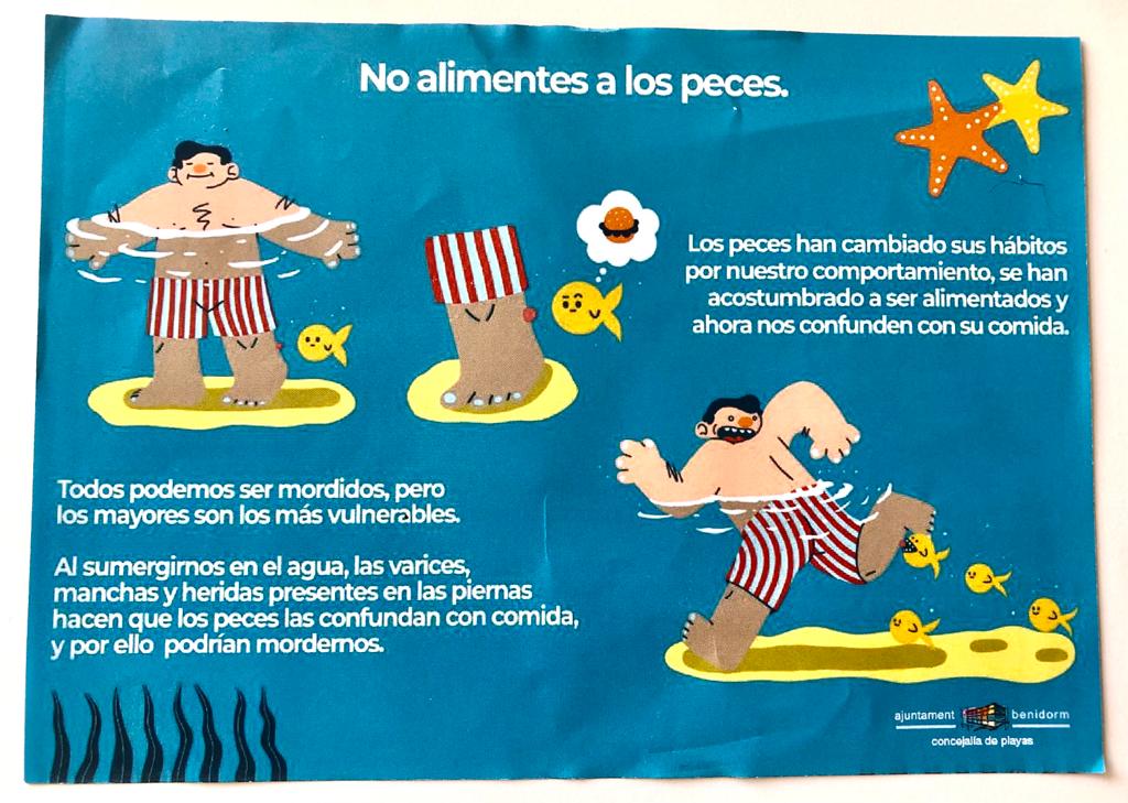 Benidorm desmiente una vez más la presencia de peces piraña atacando a bañistas en sus playas Benidorm desmiente una vez más la presencia de peces piraña atacando a bañistas en sus playas