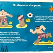 Campaña para evitar que las personas alimenten a los peces en la orilla de Benidorm Campaña para evitar que las personas alimenten a los peces en la orilla de Benidorm