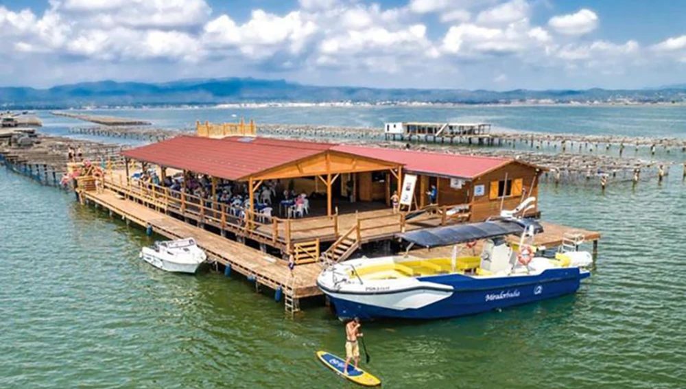 La mejillonera habilitada para hacer catas de mejillones y ostras, Mirador Badia, en el delta del Ebro.