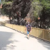 Benidorm saca a licitación por casi medio millón de euros la segunda fase del proyecto del parque El Moralet Benidorm saca a licitación por casi medio millón de euros la segunda fase del proyecto del parque El Moralet
