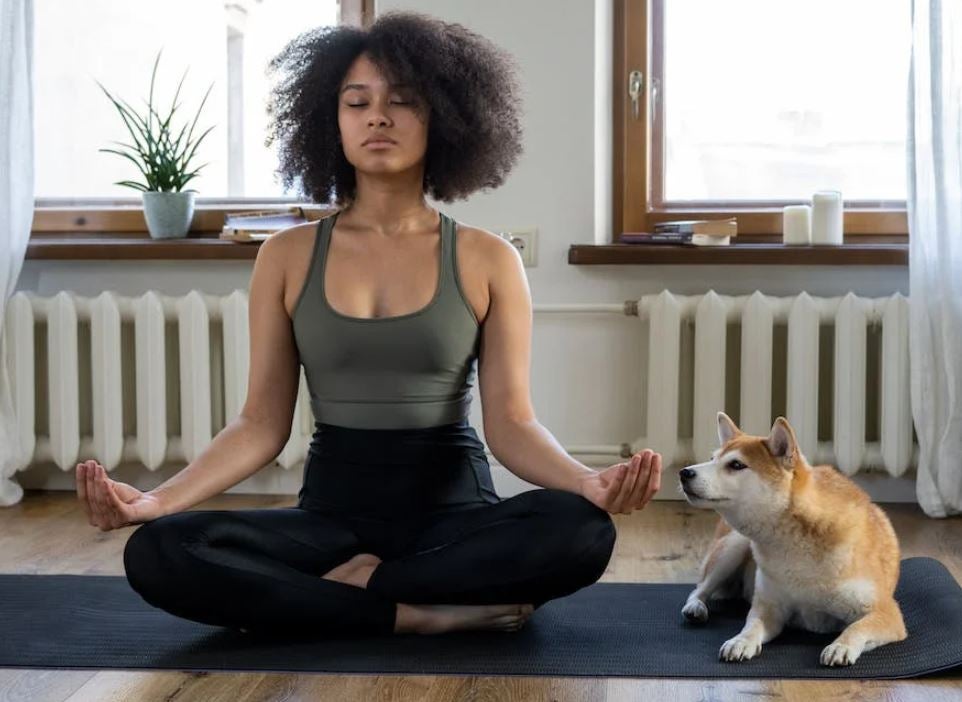 Reforzar las defensas después de las vacaciones Reforzar las defensas después de las vacaciones