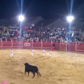 Concurso de cortes carbonero el Mayor