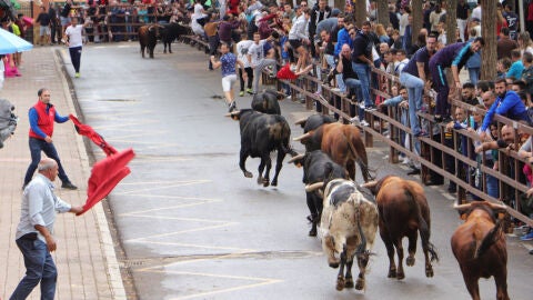 Encierro taurino en Almodóvar del Campo