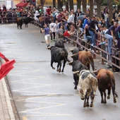Encierro taurino en Almodóvar del Campo Encierro taurino en Almodóvar del Campo