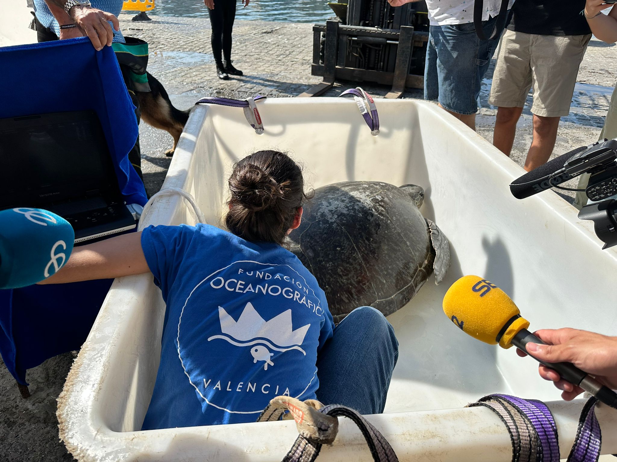 Más de Uno Ceuta 13/9/23 Más de Uno Ceuta 13/9/23