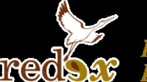 REDEX