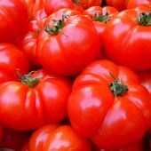 Nueva via para crear tomates resistentes a plantas parasitas sin afectar a su crecimiento