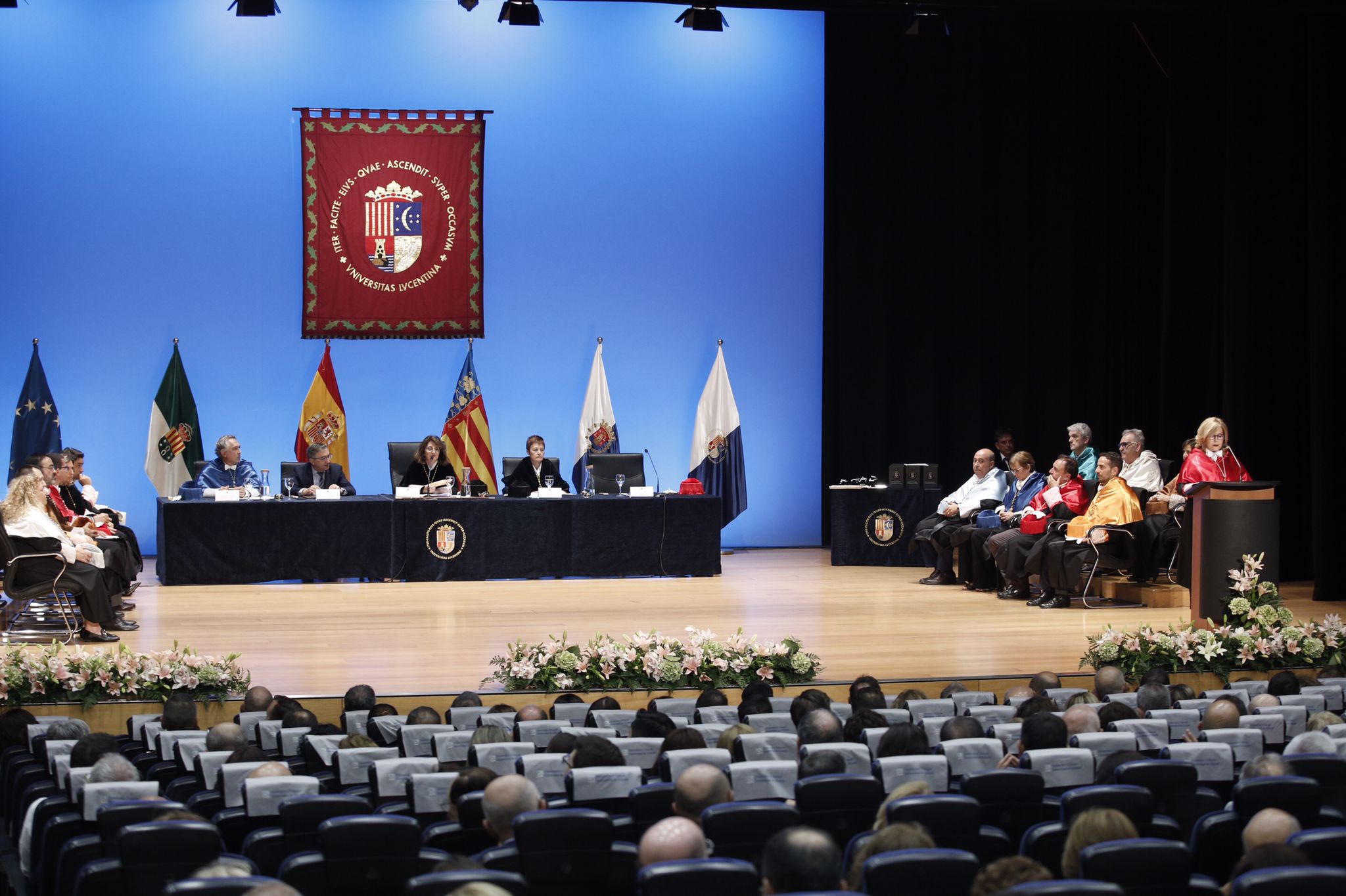Los nuevos grados, financiación y más transferencias marcan el nuevo curso en la Universidad de Alicante Los nuevos grados, financiación y más transferencias marcan el nuevo curso en la Universidad de Alicante