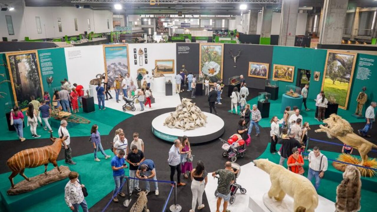 FECIEX faz balanço “extraordinariamente positivo” após fechar portas neste domingo