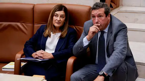 María José Sáenz de Buruaga en el Parlamento de Cantabria María José Sáenz de Buruaga en el Parlamento de Cantabria