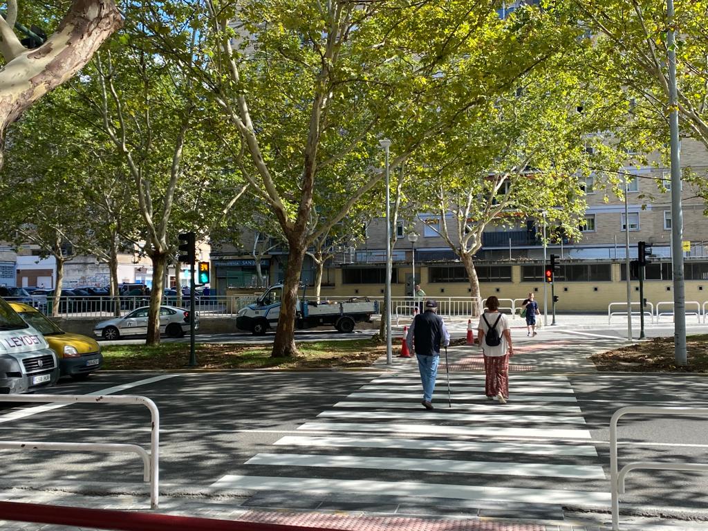 "Los pasos de peatones son una medida paliativa, necesitamos una solución integral" "Los pasos de peatones son una medida paliativa, necesitamos una solución integral"