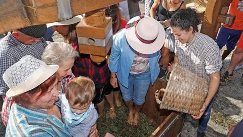 Oímbra festexa a fin da vendima coa recreación do prensado nos lagares rupestres Oímbra festexa a fin da vendima coa recreación do prensado nos lagares rupestres