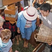 Oímbra festexa a fin da vendima coa recreación do prensado nos lagares rupestres Oímbra festexa a fin da vendima coa recreación do prensado nos lagares rupestres