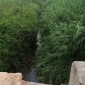 ALZIRA BARRANCO BARXETA ALZIRA BARRANCO BARXETA