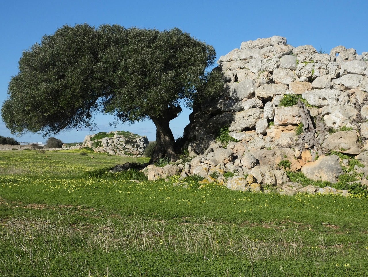 Ruta por la Menorca Talayótica, que ya es Patrimonio de la Humanidad Ruta por la Menorca Talayótica, que ya es Patrimonio de la Humanidad