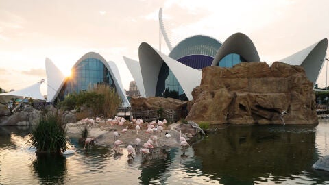 Edificios del Oceanogr&agrave;fic Val&egrave;ncia