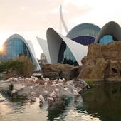 Edificios del Oceanogràfic València Edificios del Oceanogràfic València