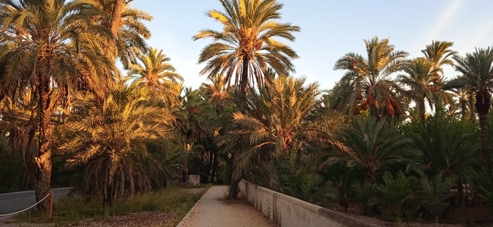El invierno llega a Elche, Crevillent y Santa Pola con un fin de semana con temperaturas frescas El invierno llega a Elche, Crevillent y Santa Pola con un fin de semana con temperaturas frescas