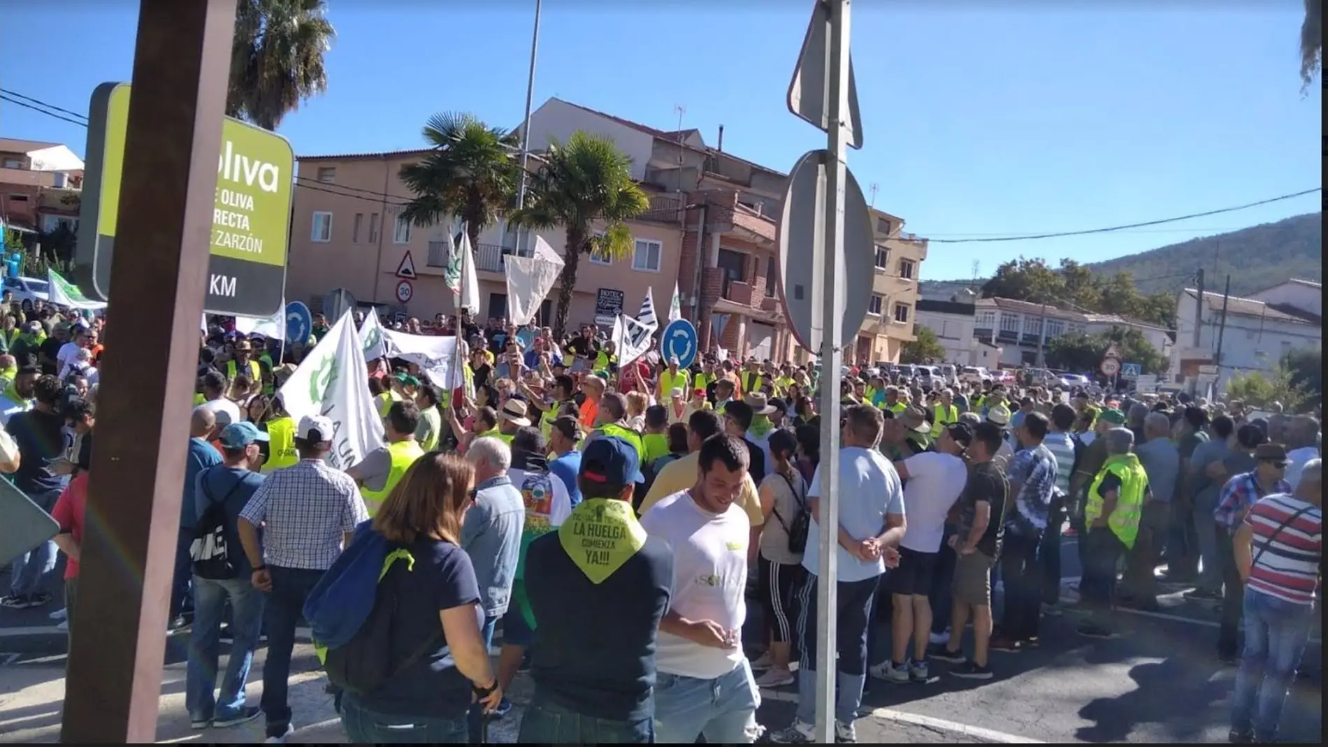 Un millar de personas protestan en Villanueva de la Sierra contra "prácticas mafiosas" para comprar aceituna por debajo de costes