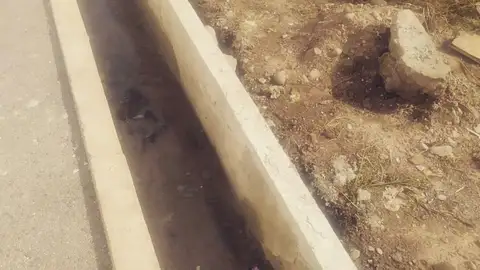 Una de las acequias en reparación Una de las acequias en reparación