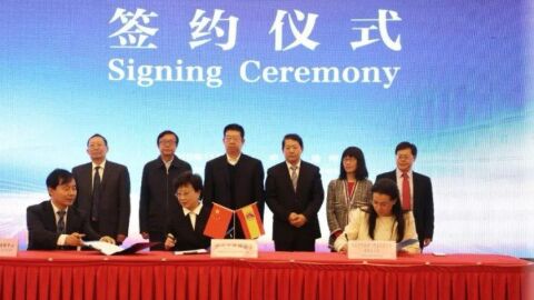 Ver&oacute;nica Salvador