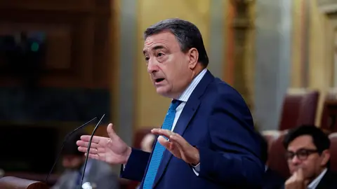 El portavoz del PNV, Aitor Esteban, El portavoz del PNV, Aitor Esteban./ EFE/Juan Carlos Hidalgo