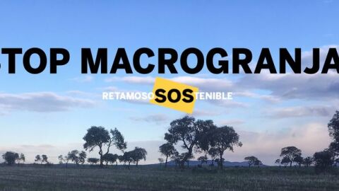 retamoso