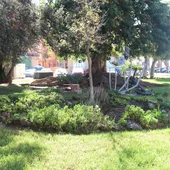 Uno de los jardines de Puerto Real Uno de los jardines de Puerto Real