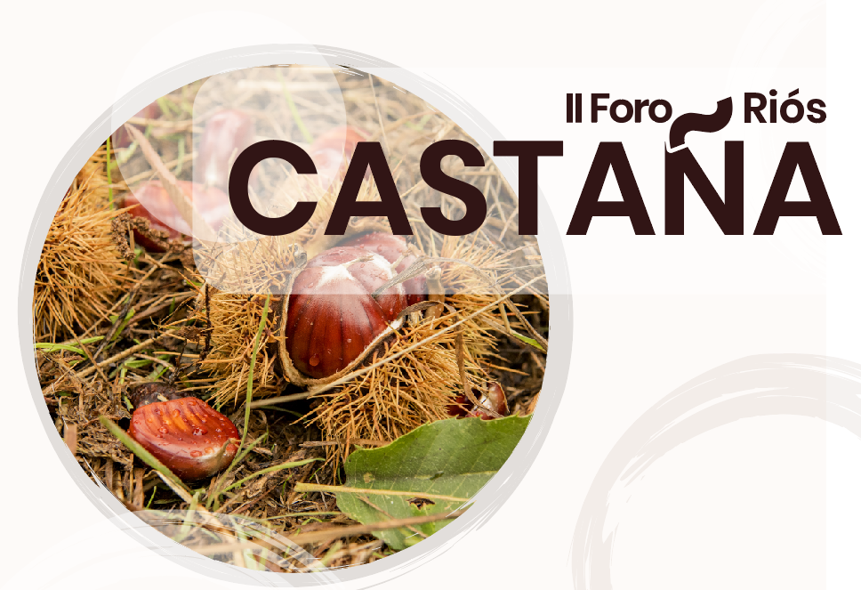 En "Se nos va la olla" vamos de castañas e o Restaurante Peregrinus En "Se nos va la olla" vamos de castañas e o Restaurante Peregrinus