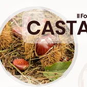 A Deputación de Ourense organiza en outubro o II Foro da Castaña A Deputación de Ourense organiza en outubro o II Foro da Castaña
