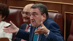 El portavoz del PNV, Aitor Esteban gesticula mientras escucha el discurso de Alberto Núñez Feijóo