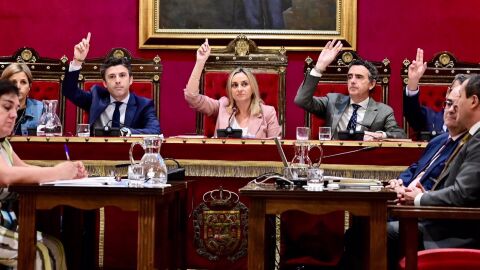 Pleno Ayuntamiento de Granada