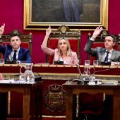 Pleno Ayuntamiento de Granada