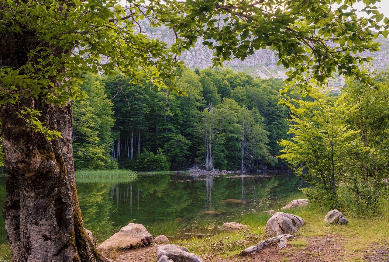 Entre castaños centenarios y fósiles: ruta por la Sierra de Francia Entre castaños centenarios y fósiles: ruta por la Sierra de Francia