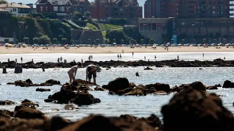 Playa de Ereaga en Getxo. Playa de Ereaga en Getxo.