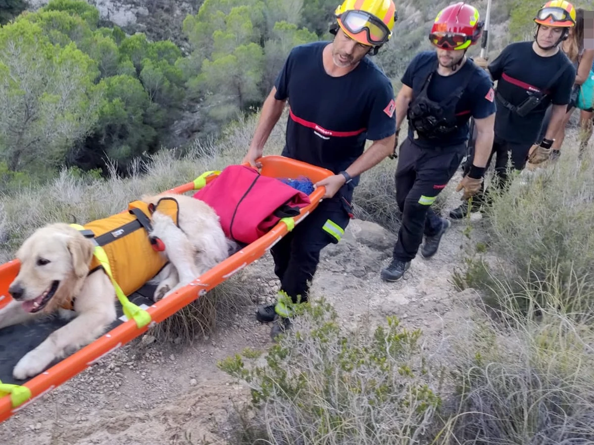 El curioso rescate a un perro en Serra Gelada que no pudo seguir andando con sus dueños por cansancio | Onda Cero Radio