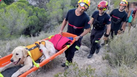 El curioso rescate a un perro en Serra Gelada que no pudo seguir andando con sus due&ntilde;os por cansancio