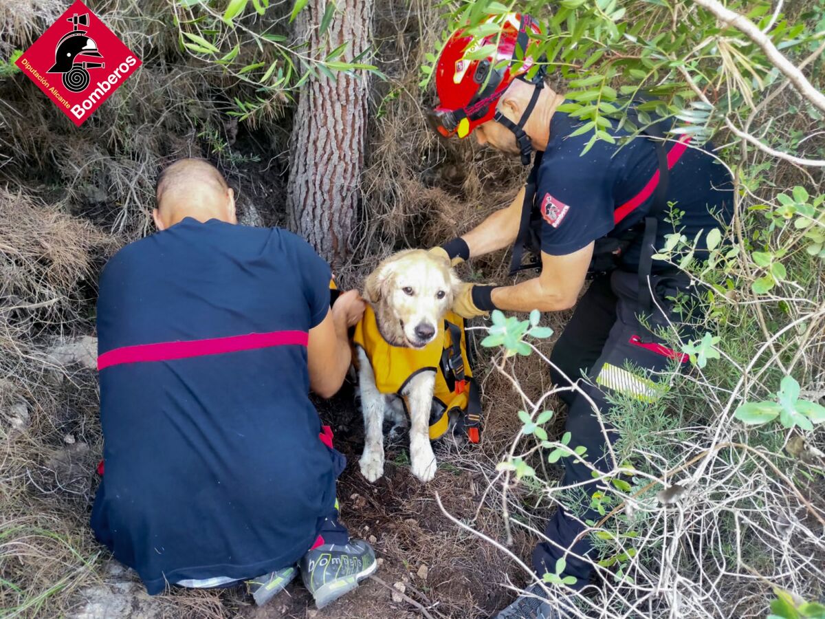 El curioso rescate a un perro en Serra Gelada que no pudo seguir andando con sus dueños por cansancio | Onda Cero Radio