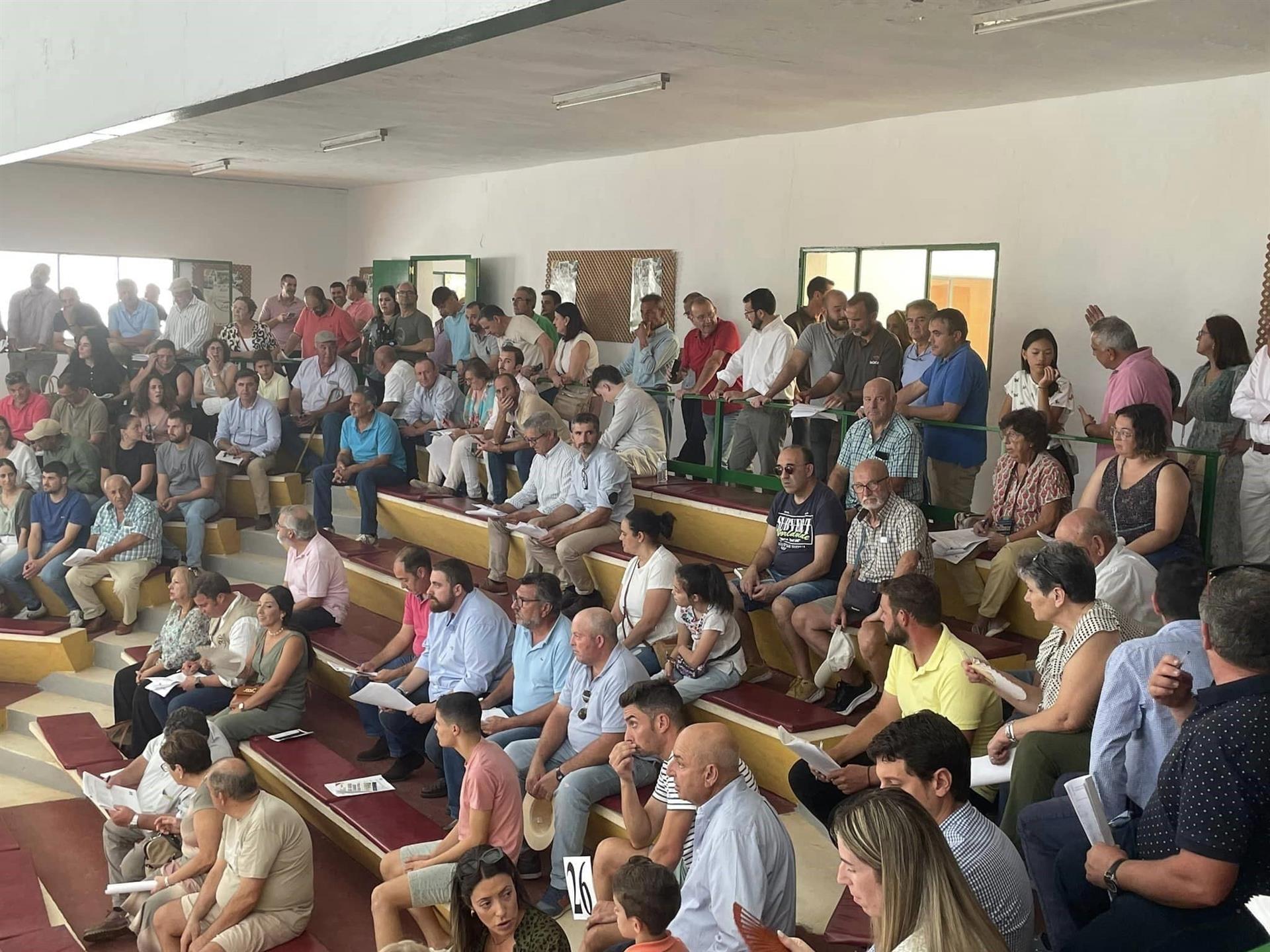 Las subastas de ovino en la Feria Ganadera de Zafra cerraban este lunes con un remate de casi 50.000 euros Las subastas de ovino en la Feria Ganadera de Zafra cerraban este lunes con un remate de casi 50.000 euros