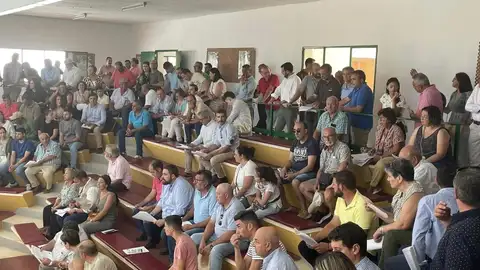 Las subastas de ovino en la Feria Ganadera de Zafra cerraban este lunes con un remate de casi 50.000 euros Las subastas de ovino en la Feria Ganadera de Zafra cerraban este lunes con un remate de casi 50.000 euros