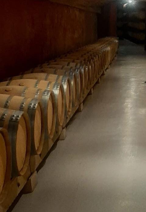 Ana Rosa Gutiérrez, catedrática de la Universidad de La Rioja: "La ventilación es fundamental para evitar la muerte dulce en las bodegas" Ana Rosa Gutiérrez, catedrática de la Universidad de La Rioja: "La ventilación es fundamental para evitar la muerte dulce en las bodegas"