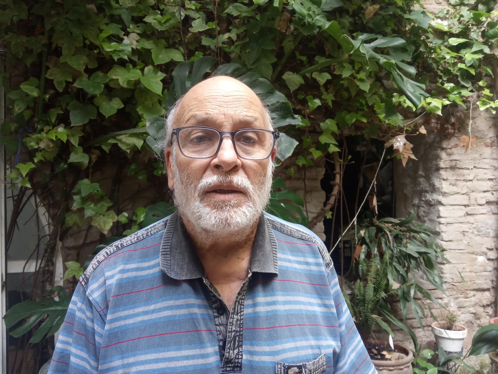 El necesario plan ciudadano de reforestación El necesario plan ciudadano de reforestación