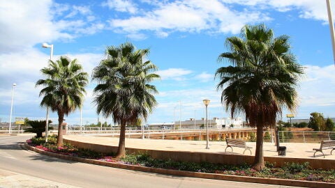 Alameda rio Magro Carlet