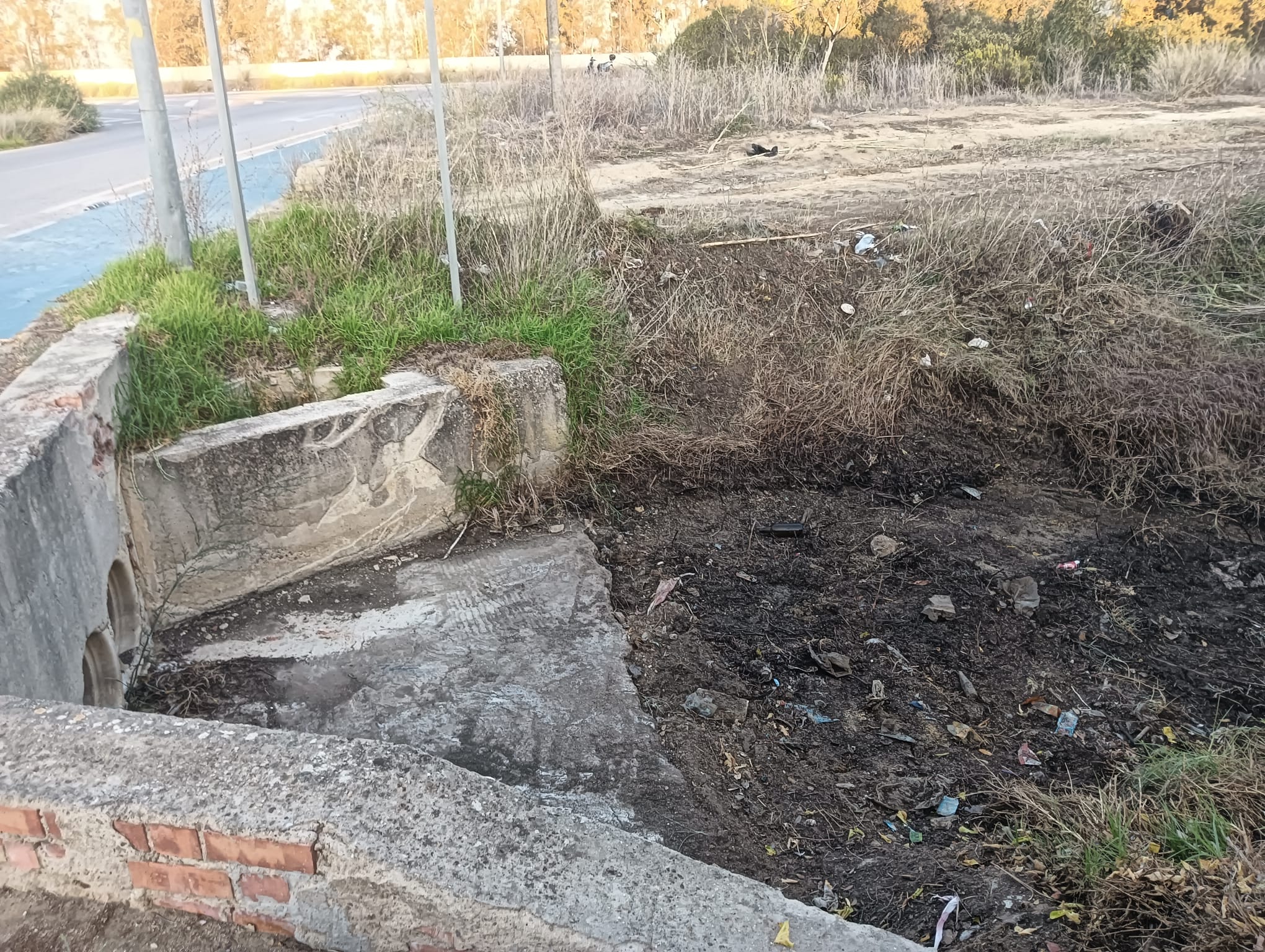 El Ayuntamiento de Puerto Real termina la limpieza de husillos y la red de alcantarillado en previsión de lluvias El Ayuntamiento de Puerto Real termina la limpieza de husillos y la red de alcantarillado en previsión de lluvias
