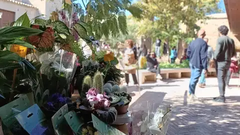 Vuelve el Mercado de Flores a Toledo Vuelve el Mercado de Flores a Toledo
