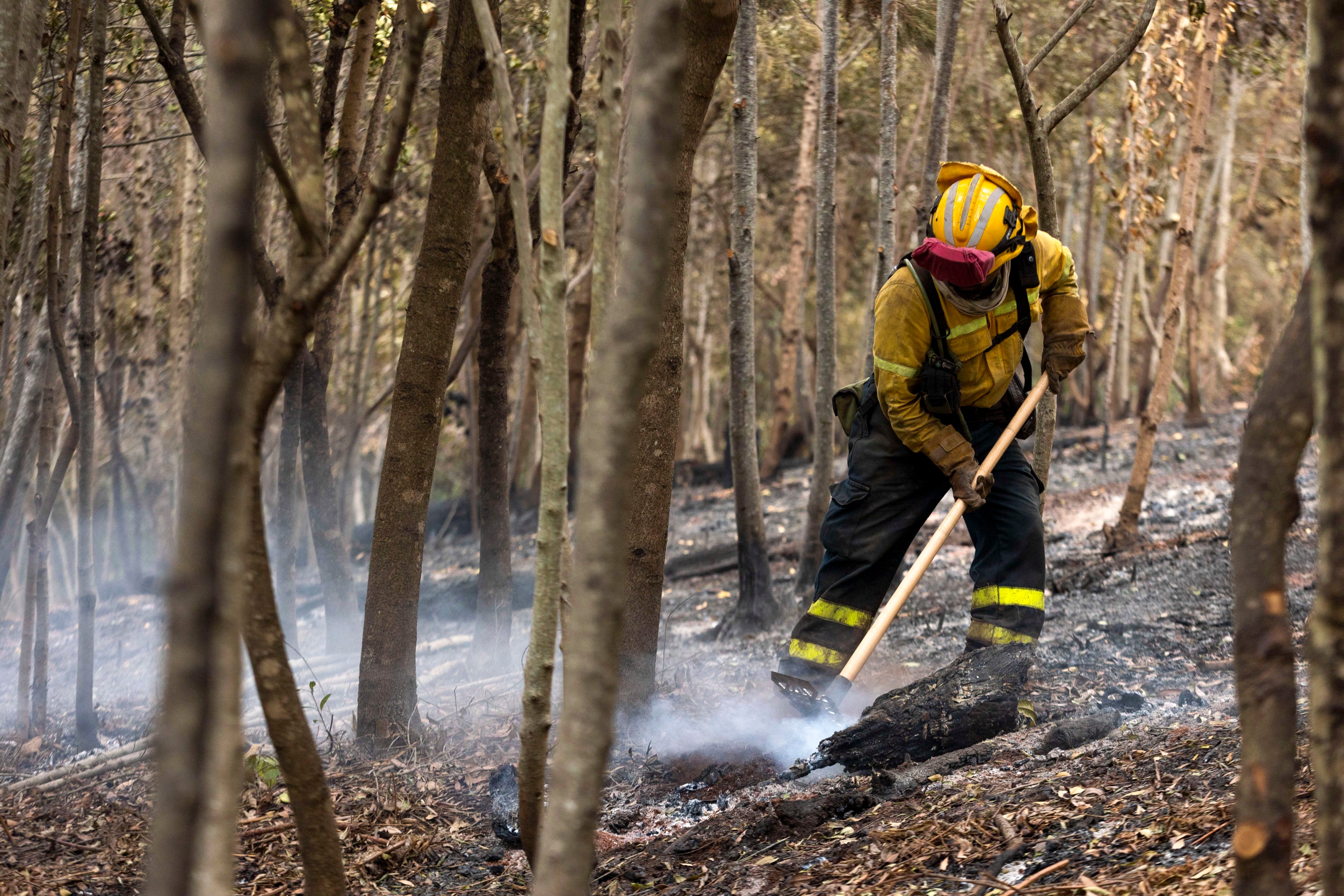 Evacuadas unas 3.000 personas en Tenerife por la reactivación de un incendio forestal Evacuadas unas 3.000 personas en Tenerife por la reactivación de un incendio forestal